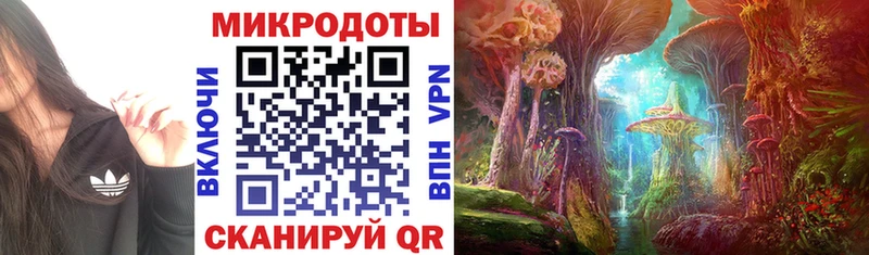 Псилоцибиновые грибы прущие грибы  Волоколамск 